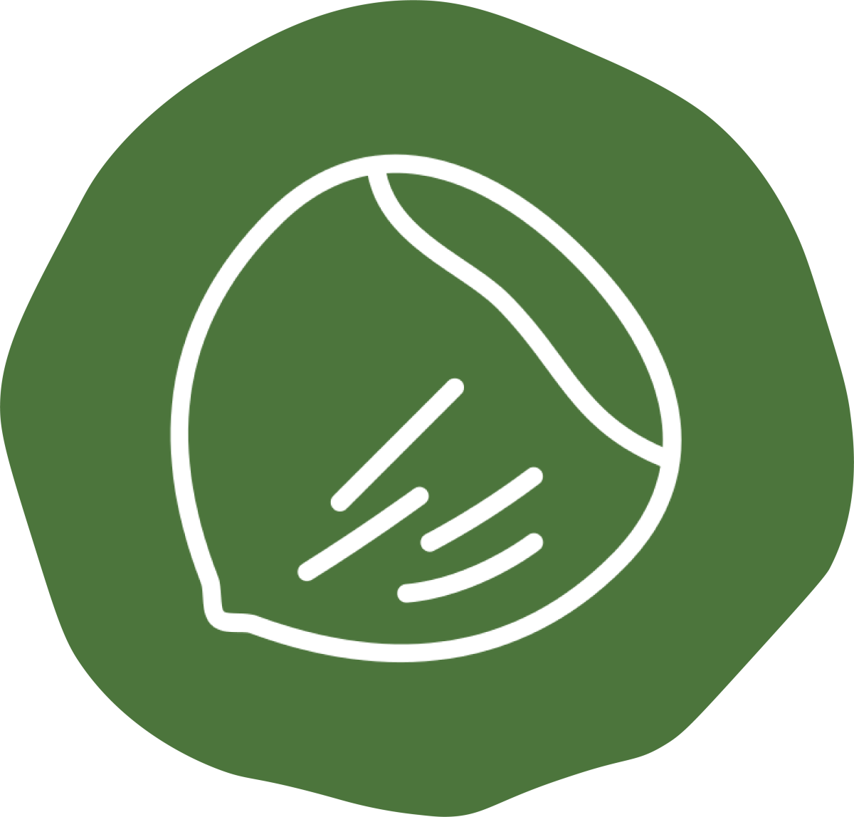 Praliné feuilleté maison, noisettes du Piémont